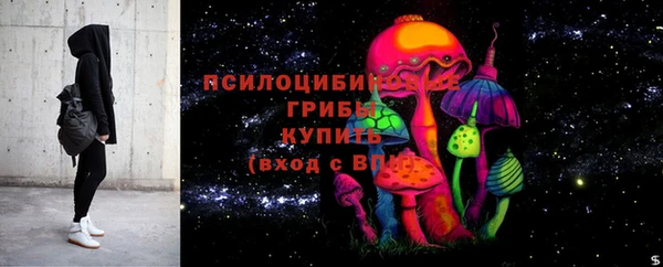 кокс Дмитровск