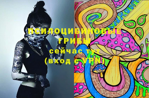 кокс Дмитровск