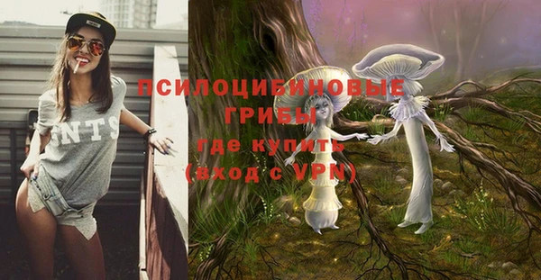 мяу мяу мука Гусиноозёрск