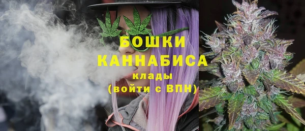 PSILOCYBIN Дмитров