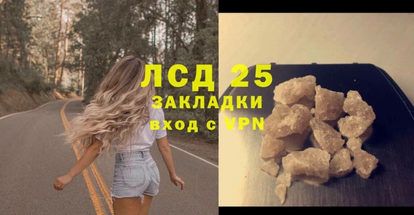 PSILOCYBIN Дмитров