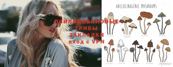 PSILOCYBIN Дмитров