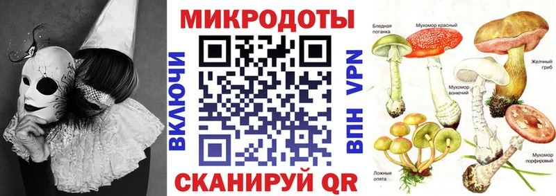 Купить  Зеленоградск  Галлюциногенные грибы Psilocybe 
